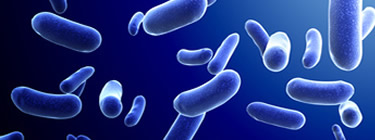 NIHR Journals Library collections | Antimicrobial resistance