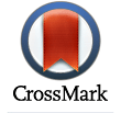 CrossMark logo